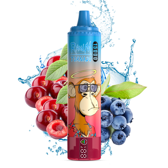 RandM Tornado 15000 Puffs Disposable Vape - Rechargeable, Mesh Coil, Multiple Flavors, 5% Nicotine, 850mAh Battery, Type-C Charging 10 Pack